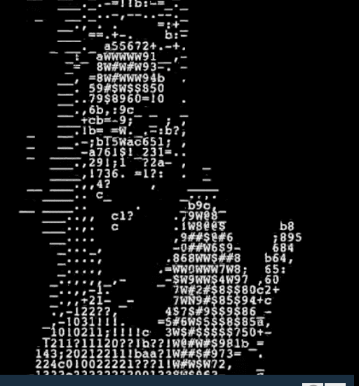 "ASCII Video" code example