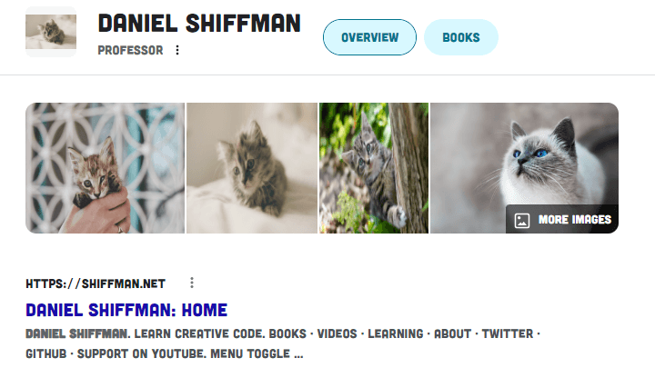 Image Chrome Extension - The Ex-Kitten-sion!