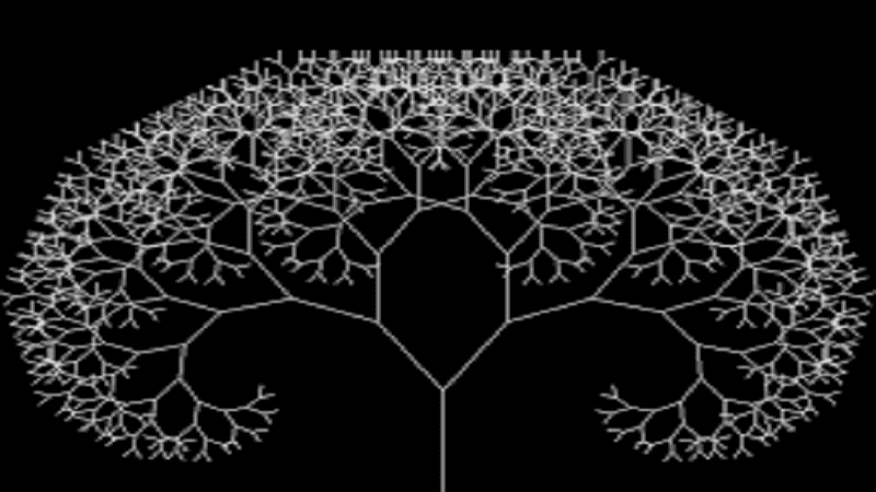 A Fractal Tree That You Can Simulate