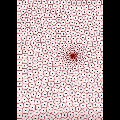 Showcase / The Coding Train