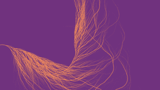 Challenges / The Coding Train