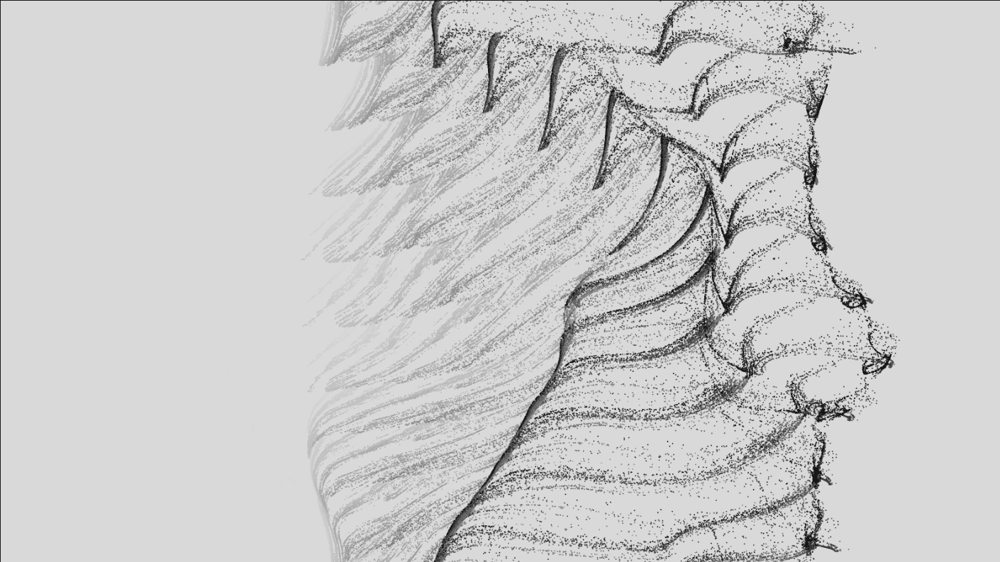 Flow field, abstract patterns