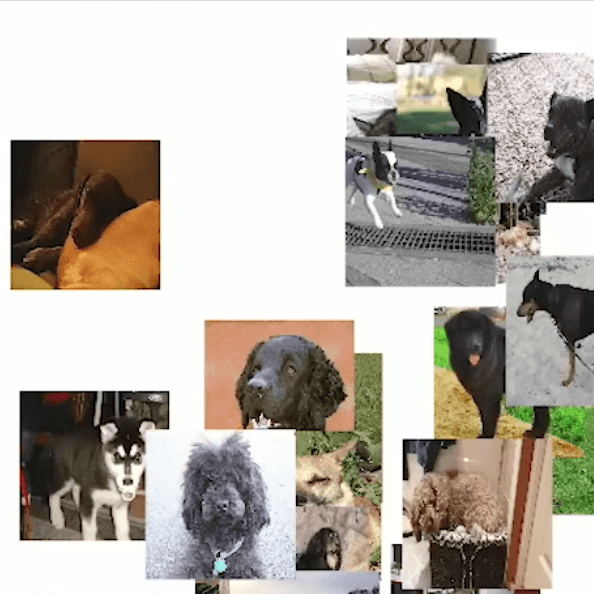 "API and Loading Animation" code example