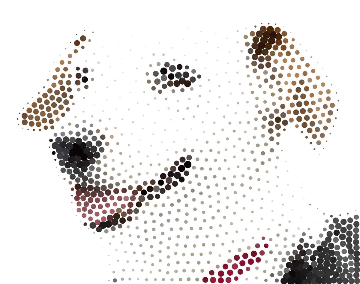 "Weighted Stippling - Size and Color" code example