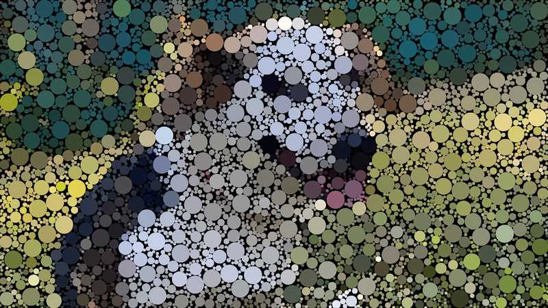 Challenges / The Coding Train