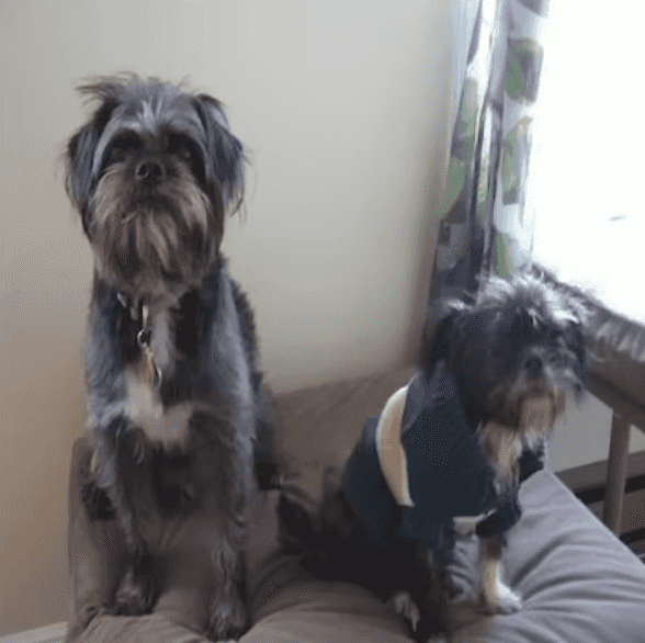 "Sequential Loading" code example